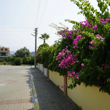 Vila Mountain View