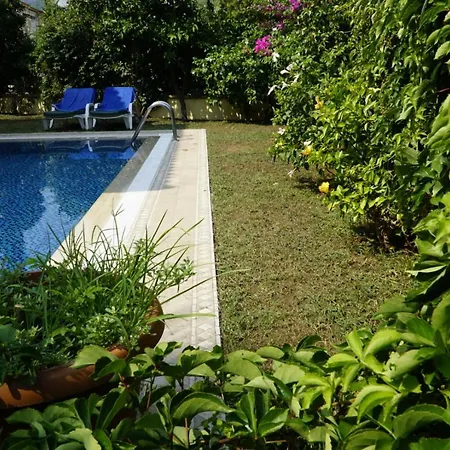Mountain View Vila
