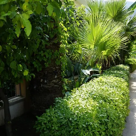 Mountain View Vila